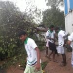 46233192_2247215095297492_6200059886215102464_n