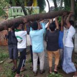 46343942_2244320045586997_2646277991293779968_n