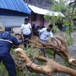 46346665_2244320008920334_3941831094898262016_n