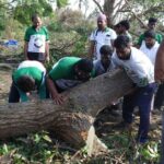 46350396_2247237488628586_3877402621203447808_n