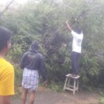 46358139_2247154288636906_78145250618507264_n