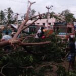 46364814_2247238411961827_5077376076653527040_n