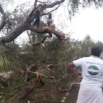 46426337_2247164475302554_5987637375054905344_n