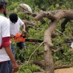 46427453_2247633938588941_7300386234927415296_n