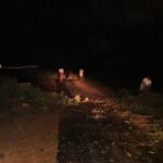 46440599_2247169678635367_5644022815800688640_n