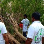 46445847_2247719651913703_7853143174393364480_n