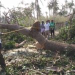 46450999_2247236995295302_7184861016348426240_n