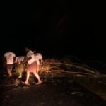 46452184_2247169631968705_6254217959233814528_n