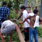 46456060_2247157975303204_2376705296673275904_n