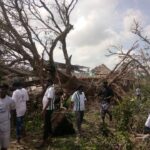 46459297_2250846028267732_1928888354007416832_n