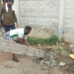 46459340_2250822571603411_5955417243364884480_n