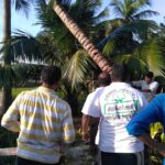 46460749_2249597815059220_6488347999612174336_n