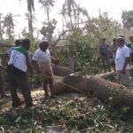 46460820_2247237291961939_157321456596811776_n