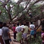 46463293_2247238441961824_480146853719965696_n