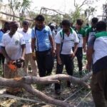 46470471_2247236841961984_7517884199135608832_n