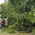 46473940_2247634218588913_2510574724300406784_n