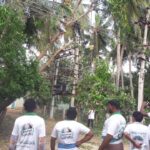 46476142_2249456418406693_4445477802048749568_n