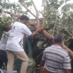 46480301_2247154228636912_2902392131014361088_n