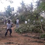 46482513_2252163611469307_217324314385448960_n