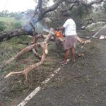 46489429_2247164521969216_8251299815397261312_n