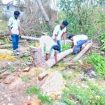 46489444_2252181918134143_5172927884829917184_n