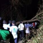 46489721_2247205281965140_6176994150898991104_n