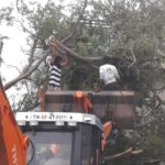 46493158_2247238548628480_3805035342843609088_n