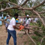 46493631_2247639915255010_2568286195561791488_n