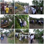 46495876_2245110258841309_759458670151991296_n