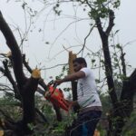 46496054_2247215345297467_1263685640269070336_n