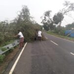 46499160_2247164558635879_7877889989973901312_n