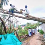 46501627_2252181808134154_5206697576295825408_n