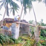 46504092_2252181594800842_6084167847364263936_n