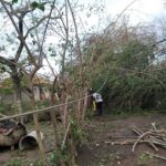 46505887_2256665211019147_502031735022682112_n