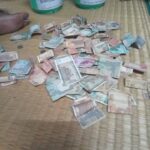 46508863_2253494274669574_5209557930025680896_n