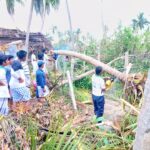 46510542_2252181378134197_3512285583059714048_n