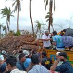 46513605_2256733057679029_4216498393825935360_n