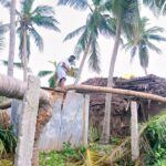 46519820_2252181554800846_618118902827712512_n