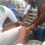 46520531_2256645487687786_9021781141157314560_n