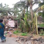 46520675_2252183251467343_8886847111396589568_n