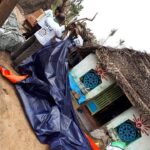 46525381_2253489518003383_8233172845794951168_n