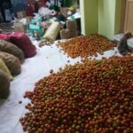 46644886_2252604498091885_3761481823251595264_n