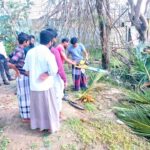 46678171_2252188464800155_2804668164602855424_n