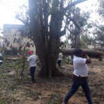 46758245_2256631891022479_3769668726702473216_n