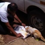 WhatsApp Image 2018-08-28 at 1.19.02 AM