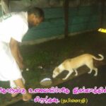 WhatsApp Image 2018-11-26 at 12.24.03 AM