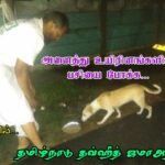 WhatsApp Image 2018-11-26 at 12.24.08 AM