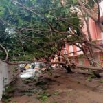 WhatsApp Image 2020-11-26 at 10.58.50