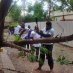 WhatsApp Image 2020-11-26 at 10.58.51