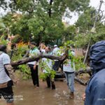 WhatsApp Image 2020-11-26 at 10.59.30